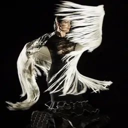 Cristiana Espanola y Flamenca