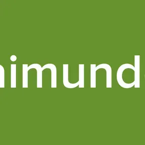 Raimundos