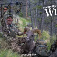 EP. 119 Colorado Bighorn Sheep 2023 with Erich Kirsch - Part 2