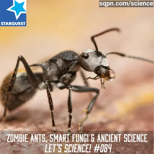 Zombie Ants, Smart Fungi & Ancient Science