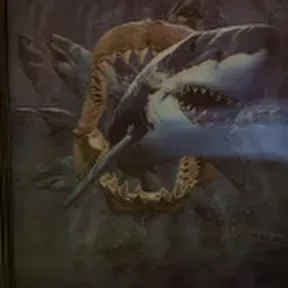 SHARKBAITRADIOSTATION.FM