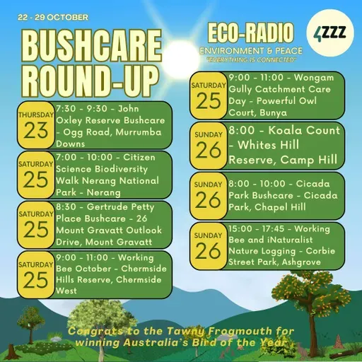 Andrew Turbill - Birds