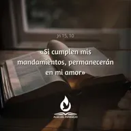 Juan 15, 9-11 - V Jueves de Pascua 