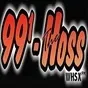 The Hoss 99.1 - WHSX