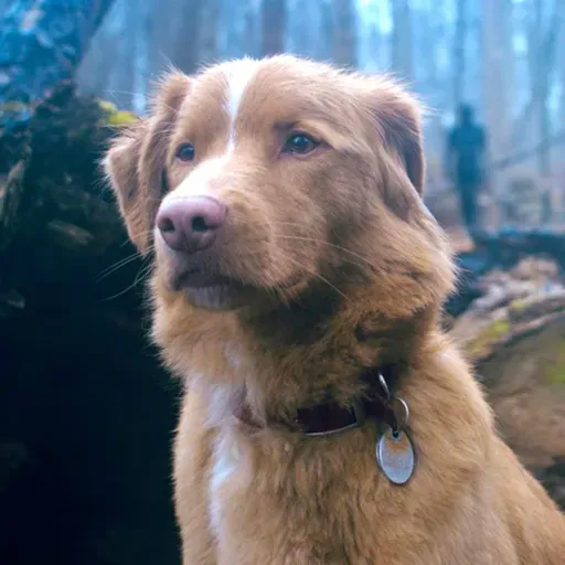 Hawtš„Takez - Good Boy Review