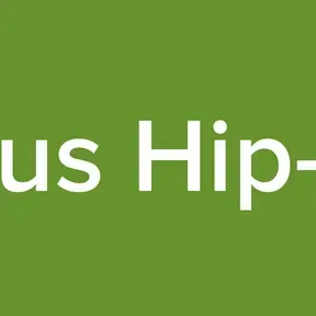Mental Virus Hip-hop Radio