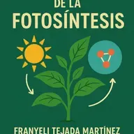 “El poder invisible de la fotosíntesis: la fábrica verde del planeta”