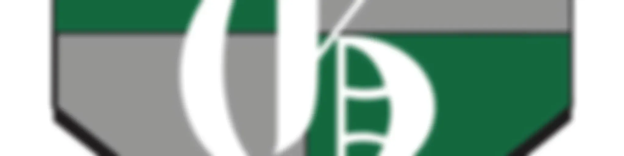 Greenbrier Basketball