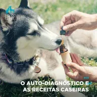 #55: O auto-diagnóstico e as receitas caseiras