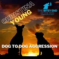 From Frenemies to Friends: Intra-Household Aggression with Christina Young