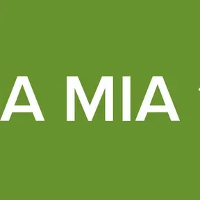 RADIO LA MIA 101.3 FM
