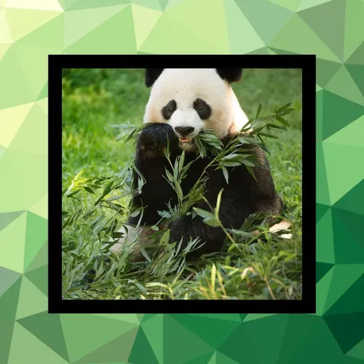 150 - Hoy el tema es variado. Vol 3