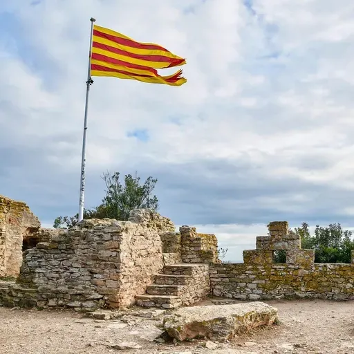L'ús del català, en perillós descens. Ens hem de preocupar?