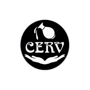 Rádio cerv web