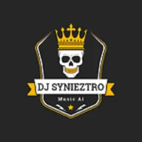 Remixes by DJ Synieztro