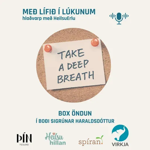 Box öndun í boði Sigrúnar Haralds (Heilsumoli 34)