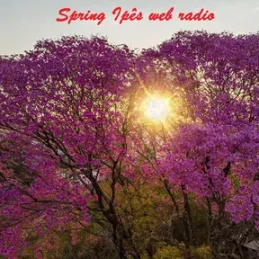 Spring Ipês web rádio