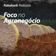 Perspectivas 2026 I Algodão