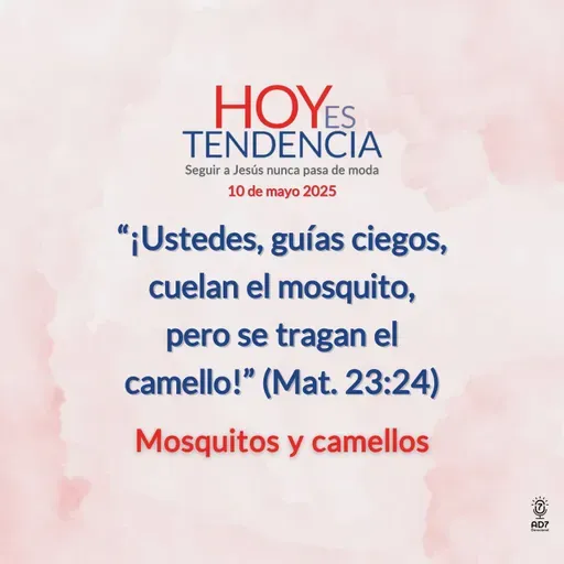 Mosquitos y camellos ~ Devocional de Jóvenes ~ 10 de mayo 2025