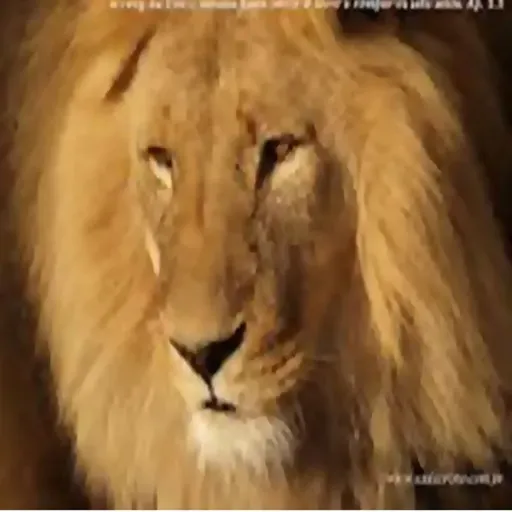 NANE AZEVEDO - QUEBRA MEU ORGULHO