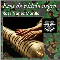 Ecos de vidrio negro - Rosa Núñez Morillo
