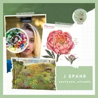 126. Science Illustration, AI Cardinals, and Frozen Asters w/ J. Spahr