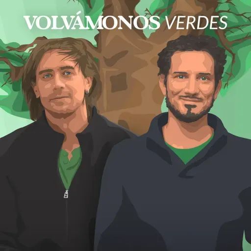 Bosques Antiguos | Gabriel Orrego & Tomás Ibarra | 140