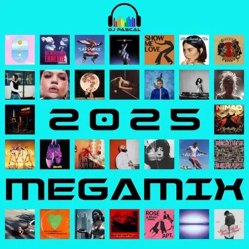 Best of 2025 Megamix