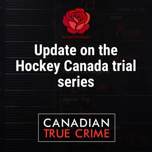 Update on the Hockey Canada series (and thanks for your patience)