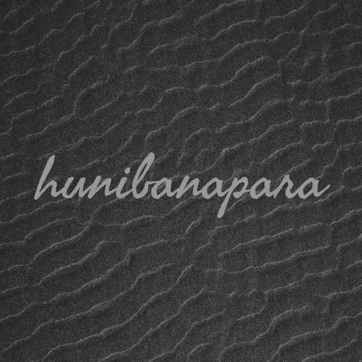 Melih Cevdet Anday- Anı