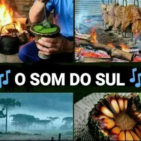 Rádio O Som do Sul
