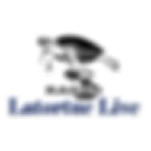 station musicl / host / Dialogue