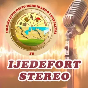 IJEDEFORT STEREO