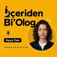 #65: "Güneşte saç rengim açılıyor"