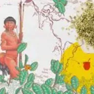 669. La Yerba Mate (leyenda Guaraní)