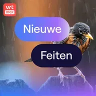 Vraag het aan Gilles: wat doen vogels als het regent?