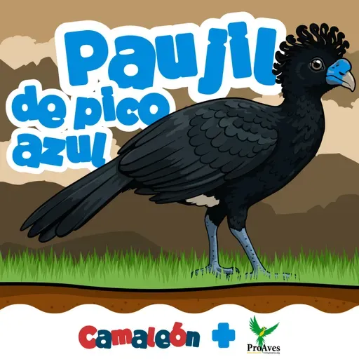 Paujil de pico azul: Belleza al borde de desaparecer