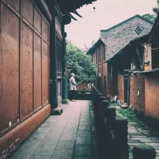 贾平凹：五十岁后最好的活法