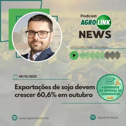 Exportações brasileiras de ovos seguem em alta, aponta ABPA