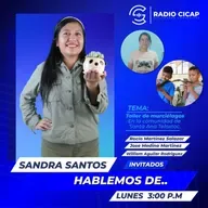 🌿🌻 𝗛𝗔𝗕𝗟𝗘𝗠𝗢𝗦 𝗗𝗘.. 🌻🌿 🌻 🦇 "Taller de murciélagos realizado en la comunidad de Santa Ana Teloxtoc" 🦇