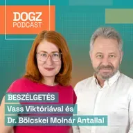 Kutyák tömege rokkan bele a szeretetbe: így etesd jól kedvenced