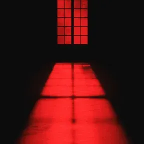paranoia