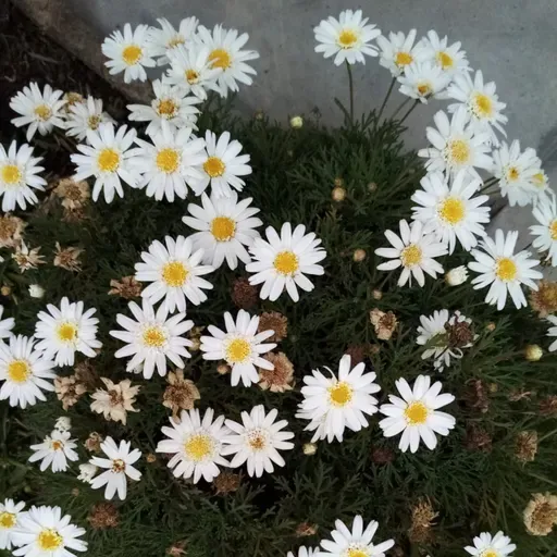 Evangelio del 21 de febrero