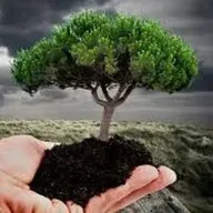 Objetos maravillosos: Los árboles | Matías Rosu #DespuesDeLaTormenta