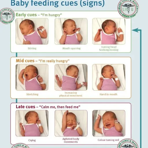 NUTRITION IN INFANCY