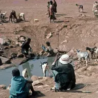 Le journal du 05 mars 2026 - Les Éleveurs reçus par le ministre du Commerce