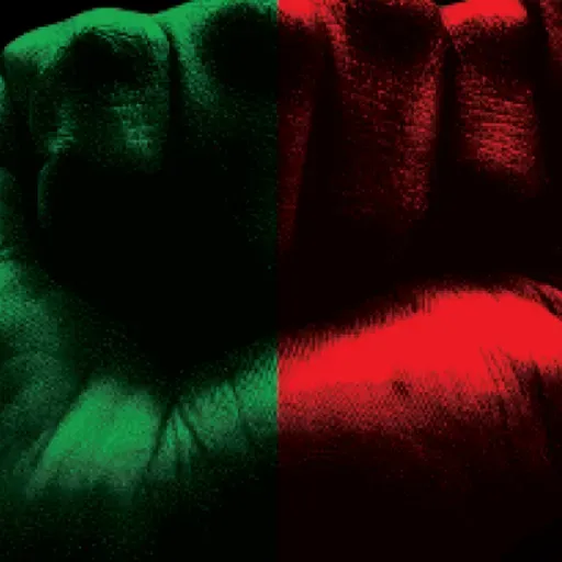 Forum: Manifesto per una Rivoluzione Ecosocialista