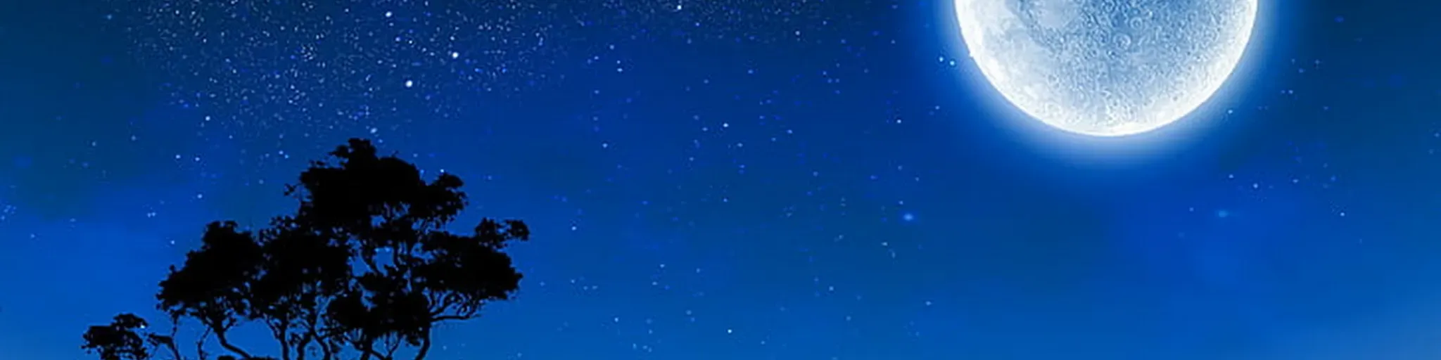 Sky Fall