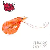 RECOMBUSTIÓN 22 | Días internacionales, estudios científicos de 2019 y meter la gamba