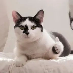 Dj Andy